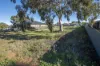 156 Camp Street, Temora, NSW 2666-Image