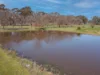 157 Grant Drive, Benalla, Vic 3672-Image