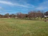157 Grant Drive, Benalla, Vic 3672-Image