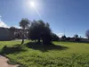 16-18 Fourth Street, Snowtown, SA 5520-Image