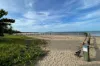 16-18 View Court, Seaforth, Qld 4741-Image