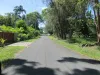 16 Arthur Street, Macleay Island, Qld 4184-Image