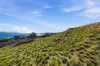 16 Bindara Road, Tranmere, Tas 7018-Image