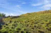 16 Bindara Road, Tranmere, Tas 7018-Image