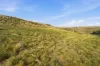 16 Bindara Road, Tranmere, Tas 7018-Image