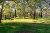 16 Carradine Road, Bedfordale, WA 6112-Image