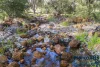 16 Honeyeater Way, Chittering, WA 6084-Image