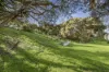 16 Keats Court, Rye, Vic 3941-Image