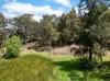 16 Kingscote Drive, Metung, Vic 3904-Image