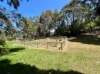 16 Kingscote Drive, Metung, Vic 3904-Image