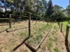 16 Kingscote Drive, Metung, Vic 3904-Image