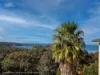 16 Seaview Way, Long Beach, NSW 2536