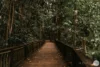 16 Sorensen Avenue, Buderim, Qld 4556-Image