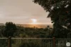 16 Sorensen Avenue, Buderim, Qld 4556-Image