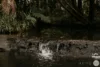 16 Sorensen Avenue, Buderim, Qld 4556-Image