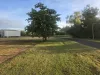 16 Tower Street, Chillagoe, Qld 4871-Image
