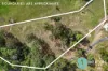 16 Zerner Road, Pie Creek, Qld 4570-Image