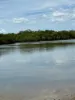 160 Bynoehaven Road, Bynoe, NT 0822-Image
