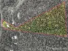 160 Clagiraba Road, Clagiraba, Qld 4211-Image