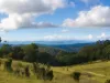 160 Coal Mine Rd, Kaoota, Tas 7150