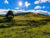 160 Coal Mine Rd, Kaoota, Tas 7150-Image
