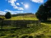 160 Coal Mine Rd, Kaoota, Tas 7150-Image