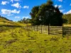 160 Coal Mine Rd, Kaoota, Tas 7150-Image