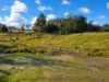 160 Coal Mine Rd, Kaoota, Tas 7150-Image