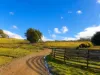 160 Coal Mine Rd, Kaoota, Tas 7150-Image