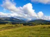 160 Coal Mine Rd, Kaoota, Tas 7150-Image