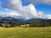 160 Coal Mine Rd, Kaoota, Tas 7150-Image