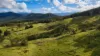 160 Coal Mine Rd, Kaoota, Tas 7150-Image