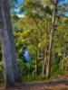 161 Back Cam Road, Somerset, Tas 7322-Image