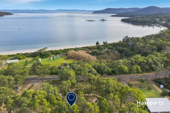 161 White Beach Road, White Beach, Tas 7184
