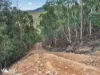 162 Toffolis Road, Claremont, Tas 7011-Image