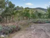 162 Toffolis Road, Claremont, Tas 7011-Image