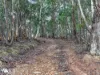 162 Toffolis Road, Claremont, Tas 7011-Image