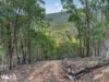 162 Toffolis Road, Claremont, Tas 7011-Image