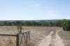 163 McLaren Flat Road, McLaren Flat, SA 5171-Image