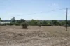 163 McLaren Flat Road, McLaren Flat, SA 5171-Image