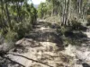 164 Smiths Road, Moogara, Tas 7140-Image