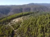 164 Smiths Road, Moogara, Tas 7140-Image
