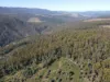 164 Smiths Road, Moogara, Tas 7140-Image