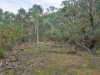 1648 Cassilis Road, Cassilis, Vic 3898