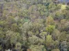 1648 Cassilis Road, Cassilis, Vic 3898-Image