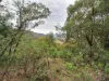1648 Cassilis Road, Cassilis, Vic 3898-Image
