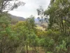 1648 Cassilis Road, Cassilis, Vic 3898-Image