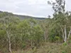 1648 Cassilis Road, Cassilis, Vic 3898-Image