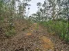 1648 Cassilis Road, Cassilis, Vic 3898-Image