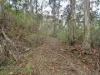 1648 Cassilis Road, Cassilis, Vic 3898-Image